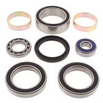 14-1014 | Arctic Cat Chain Case Bearing & Seal Kit (Drive)