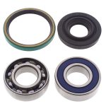 14-1017 | Ski-Doo Chain Case Bearing & Seal Kit (Drive)
