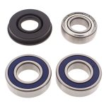 14-1018 | Ski-Doo Chain Case Bearing & Seal Kit (Drive)