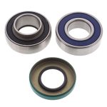 14-1019 | Ski-Doo Chain Case Bearing & Seal Kit (Jack)