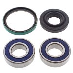 14-1023 | Ski-Doo Chain Case Bearing & Seal Kit (Drive)
