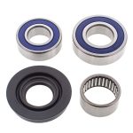 14-1025 | Ski-Doo Chain Case Bearing & Seal Kit (Drive)