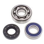 14-1028 | Yamaha Chain Case Bearing & Seal Kit (Drive)
