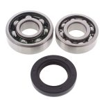14-1029 | Yamaha Chain Case Bearing & Seal Kit (Jack)