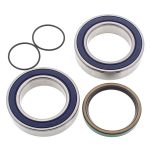 14-1035 | Ski-Doo Chain Case Bearing & Seal Kit (Drive)