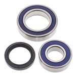 14-1044 | Ski-Doo Chain Case Bearing & Seal Kit (Jack)