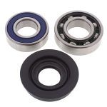 14-1054 | Ski-Doo Chain Case Bearing & Seal Kit (Drive)