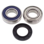 14-1062 |  Ski-Doo Chain Case Bearing & Seal Kit (Jack)