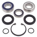 14-1068 | Arctic Cat Chain Case Bearing & Seal Kit (Jack)