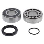 14-1071 | Arctic Cat /Yamaha Chain Case Bearing & Seal Kit (Jack)