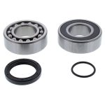 14-1072 | Arctic Cat /Yamaha Chain Case Bearing & Seal Kit (Jack)