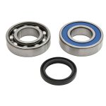 14-1083 | Arctic Cat Chain Case Bearing & Seal Kit (Jack)