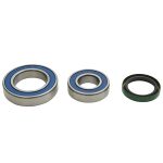 14-1085 | Ski-Doo Chain Case Bearing & Seal Kit (Jack)