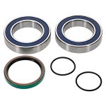 14-1087 | Ski-Doo Chain Case Bearing & Seal Kit (Drive)