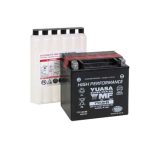 165509 | AGM Battery