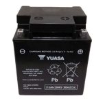 165637 | High Performance AGM Battery