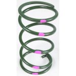 210493-006 | Spring, Arctic Cat Adapt, 155-240 Green/Pink (Tanged)