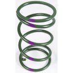 210493-008 | Spring, Arctic Cat Adapt, 160-250 Green/Purple (Tanged)