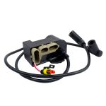 225700 | CDI Box W/Ignition Coil