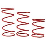 250-2316 | Secondary Clutch SpringGold / Black