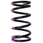 210141-017 | Spring, TRA Drive Clutch, Black/Purple/Pink 160-350