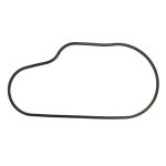 03-160-48 | Chain Case O-Rings – Polaris