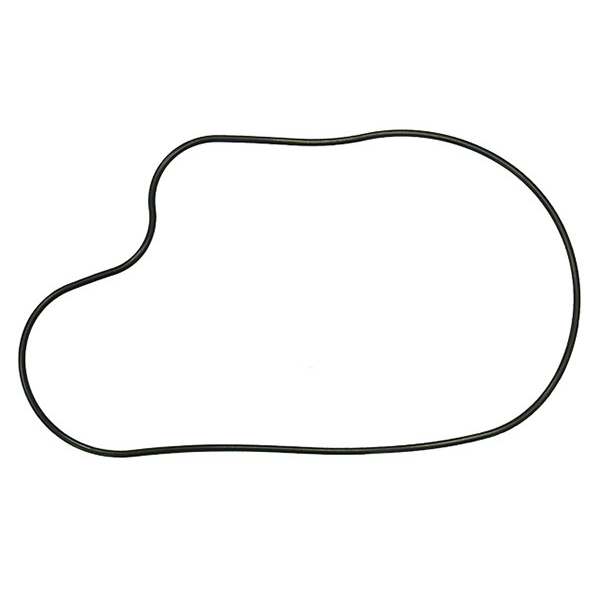 264-2003 03-160-49 | Chain Case O-Rings – Polaris - Image 1