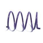 ACSS-5 | Secondary Spring- Arctic Cat Purple 86 - 148 Lb