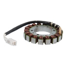 01-145-06 | Stator