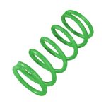 121-160 | Ski-Doo Primary Spring160-320 lbs Green