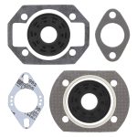 711004 | Gasket Set & Oil Seals Hirth