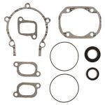 400620 | Complete Gasket Sets With Oil Seals Fits Ski-doo