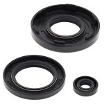 55111 | Engine Oil Seal Kit Arctic Cat