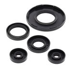 55190 | Engine Oil Seal Kit Ski-Doo