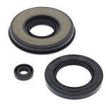 55203 | Engine Oil Seal Kit Arctic Cat