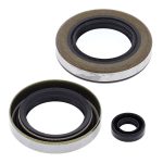 55208 | Engine Oil Seal Kit Polaris