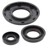 55214 | Engine Oil Seal Kit Polaris