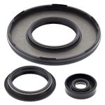 55229 | Crankcase Oil Seal Set