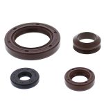 55239 | Engine Oil Seal Kit Ski-doo