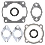 711006 | Gasket Set & Oil Seals Kohler