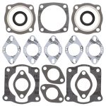 711008 | Gasket Set & Oil Seals Kohler