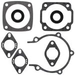 711021 | Gasket Set & Oil Seals Ski Doo