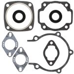 711022 | Gasket Set & Oil Seals Ski Doo
