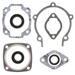 711022Y | Gasket Set & Oil Seals Ski Doo