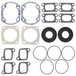 711023C | Gasket Set & Oil Seals Ski Doo/Moto-Ski