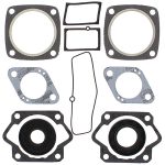 711025 | Gasket Set & Oil Seals Ski Doo