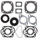 711026 | Gasket Set & Oil Seals Ski Doo/Moto-Ski