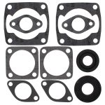 711058 | Complete Gasket Arctic Cat Oil Seal Assembly
