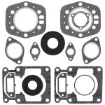 711063A | Professional Gasket Set With Oil Seals