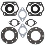 711067 | Gasket Set & Oil Seals Ski Doo